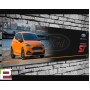 Ford Fiesta Mk8 ST (orange) Garage/Workshop Banner