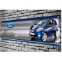 Ford Fiesta Mk7 S1600 Garage/Workshop Banner