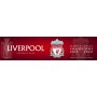 Liverpool Football Club Premier League Champions Banner