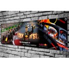 Max Verstappen 2021 F1 World Champion Banner
